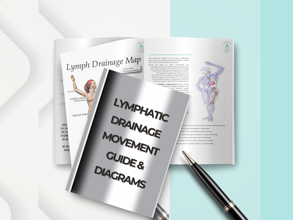 Lymphatic Detoxification and Drainage Maps & Guide| Instant