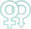 services image