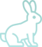 services image