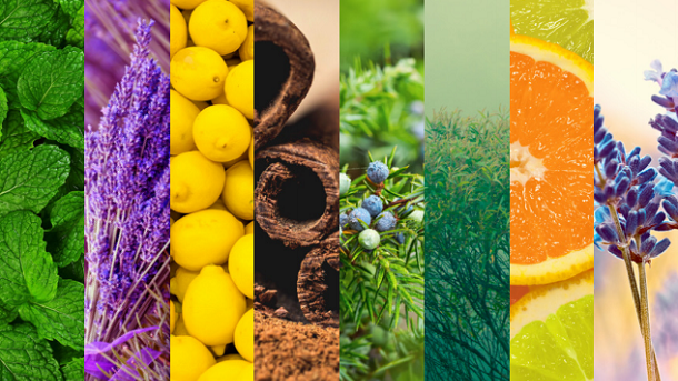Essential Oils. What are they good for?