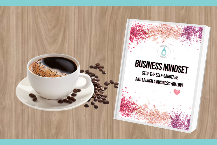 Business Mindset: Stop Self Sabotage and Launch a Business you love